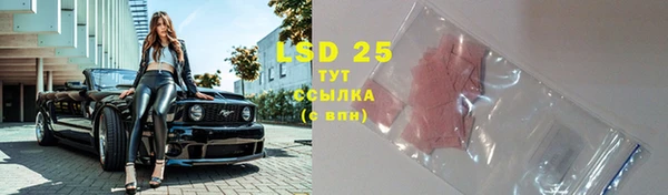 индика Белоозёрский