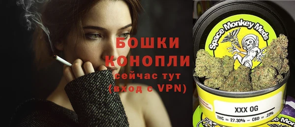 индика Белоозёрский